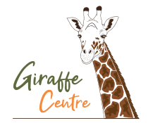 Logo-Design-Giraffe-Centre