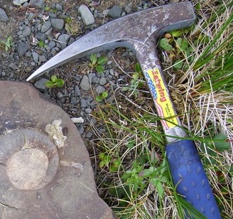 Geologists hammer